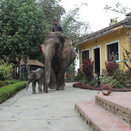 Hotel Sapana Village alojamiento Chitwan Exterior foto