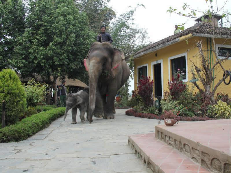 Hotel Sapana Village alojamiento Chitwan Exterior foto